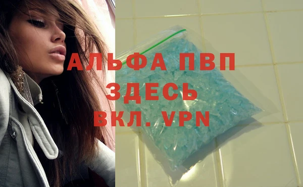 молекула духа Богородск