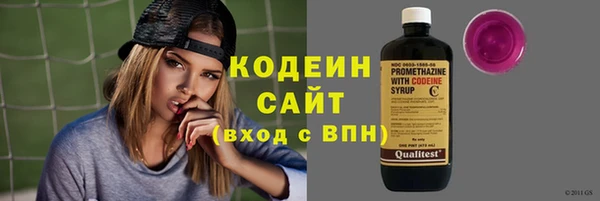 индика Сатка