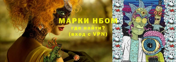 молекула духа Богородск
