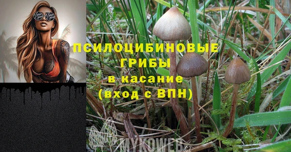 мескалин Богданович