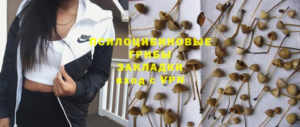 Альфа ПВП Богородицк