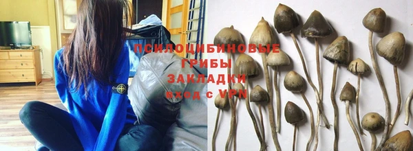 молекула духа Богородск