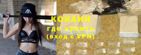 индика Сатка