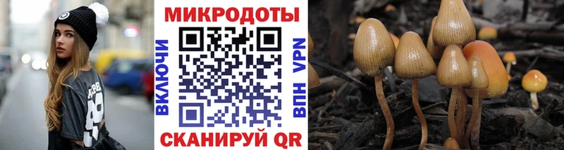 Галлюциногенные грибы мухоморы магазин продажи наркотиков Краснокамск